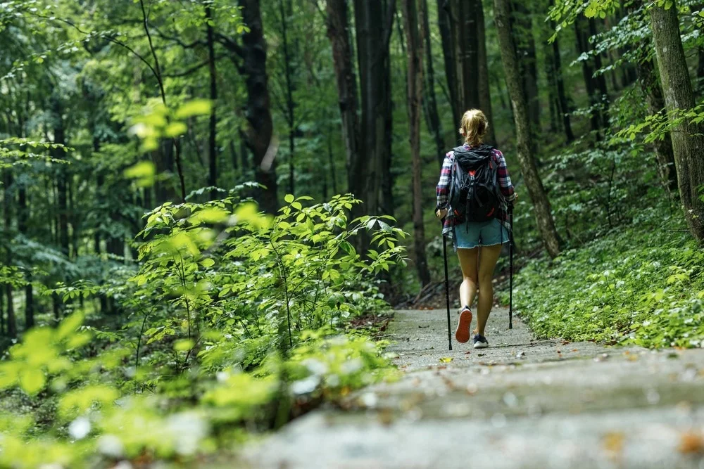 Jhari Eco-Stay Nature Walk